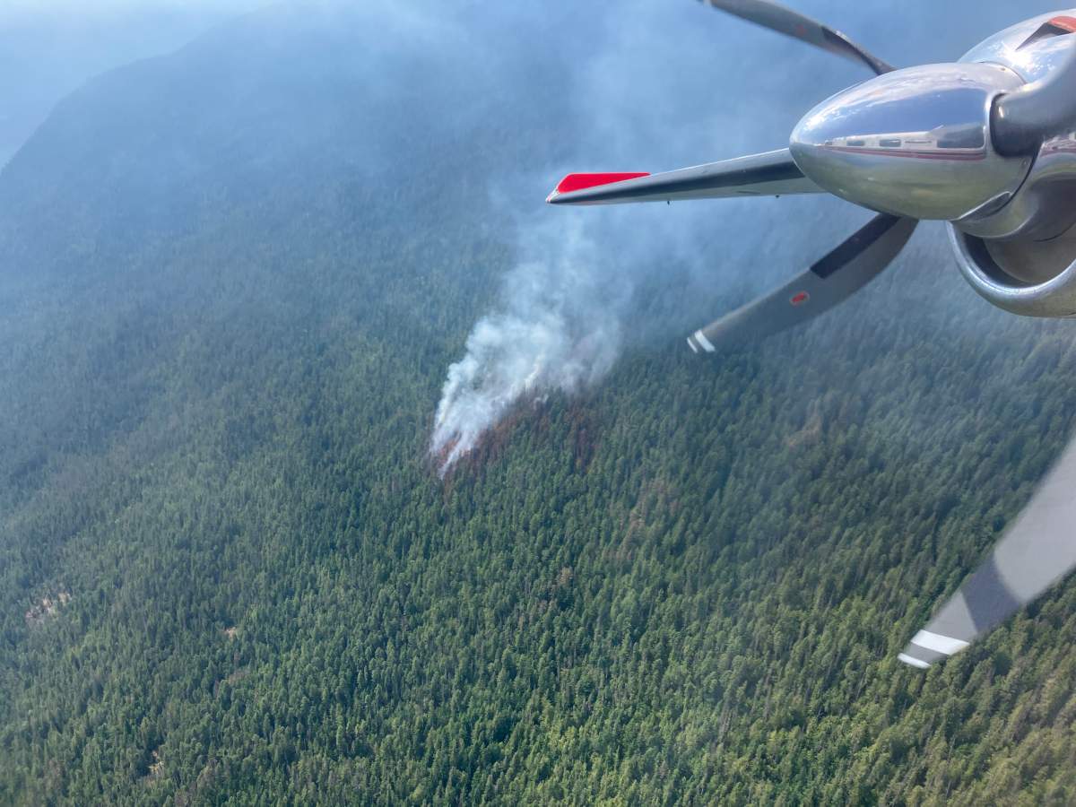 Lower Blueberry Creek blaze in Shuswap considered held: B.C. Wildfire - image