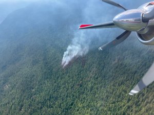 Lower Blueberry Creek blaze in Shuswap considered held: B.C. Wildfire