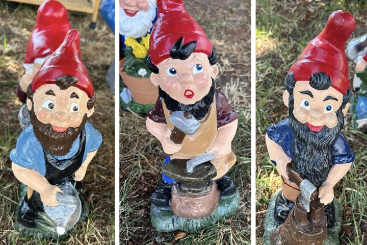 ‘You made my day!’: Stolen Kelowna garden gnomes returned, freshly painted