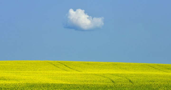 Лятото е тук Хората правят красиви снимки из прериите Искаме да