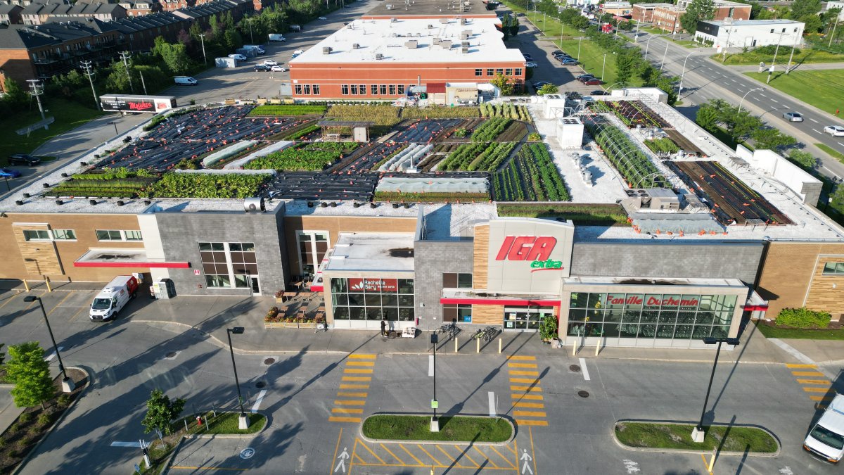 Canada’s only rooftop garden on top of a supermarket keeps on producing ...