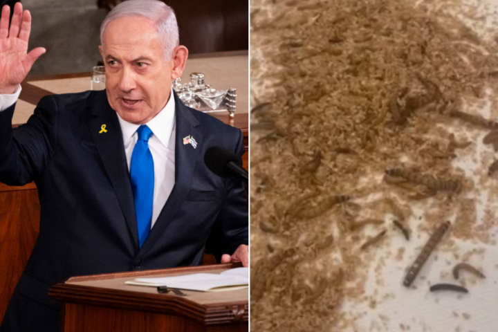 Protesters scatter maggots, crickets at Watergate Hotel amid Netanyahu visit