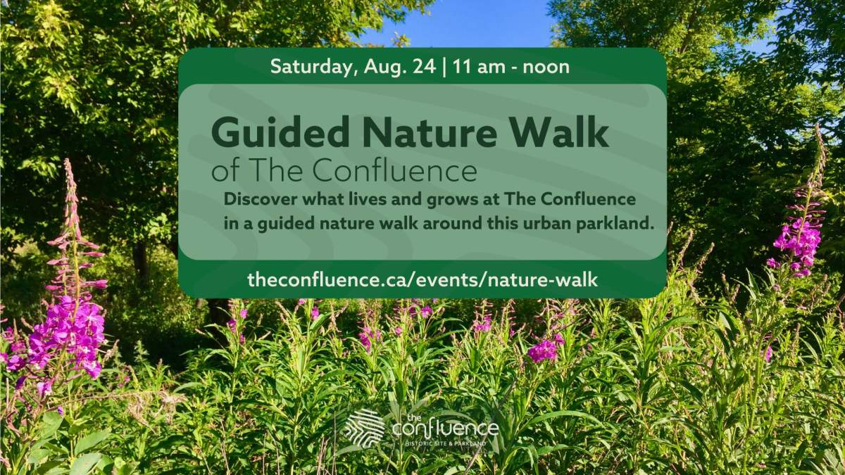 Guided Nature Tour of The Confluence - image