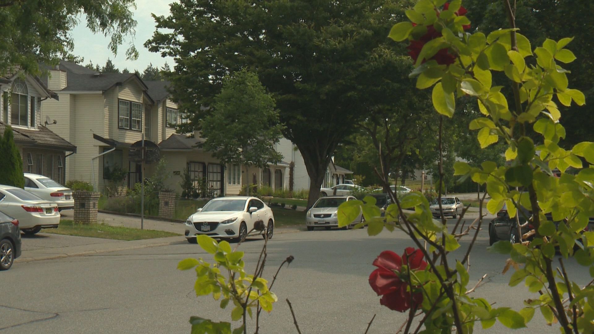 Комитетът в Съри търси помощ от обществеността за да идентифицира