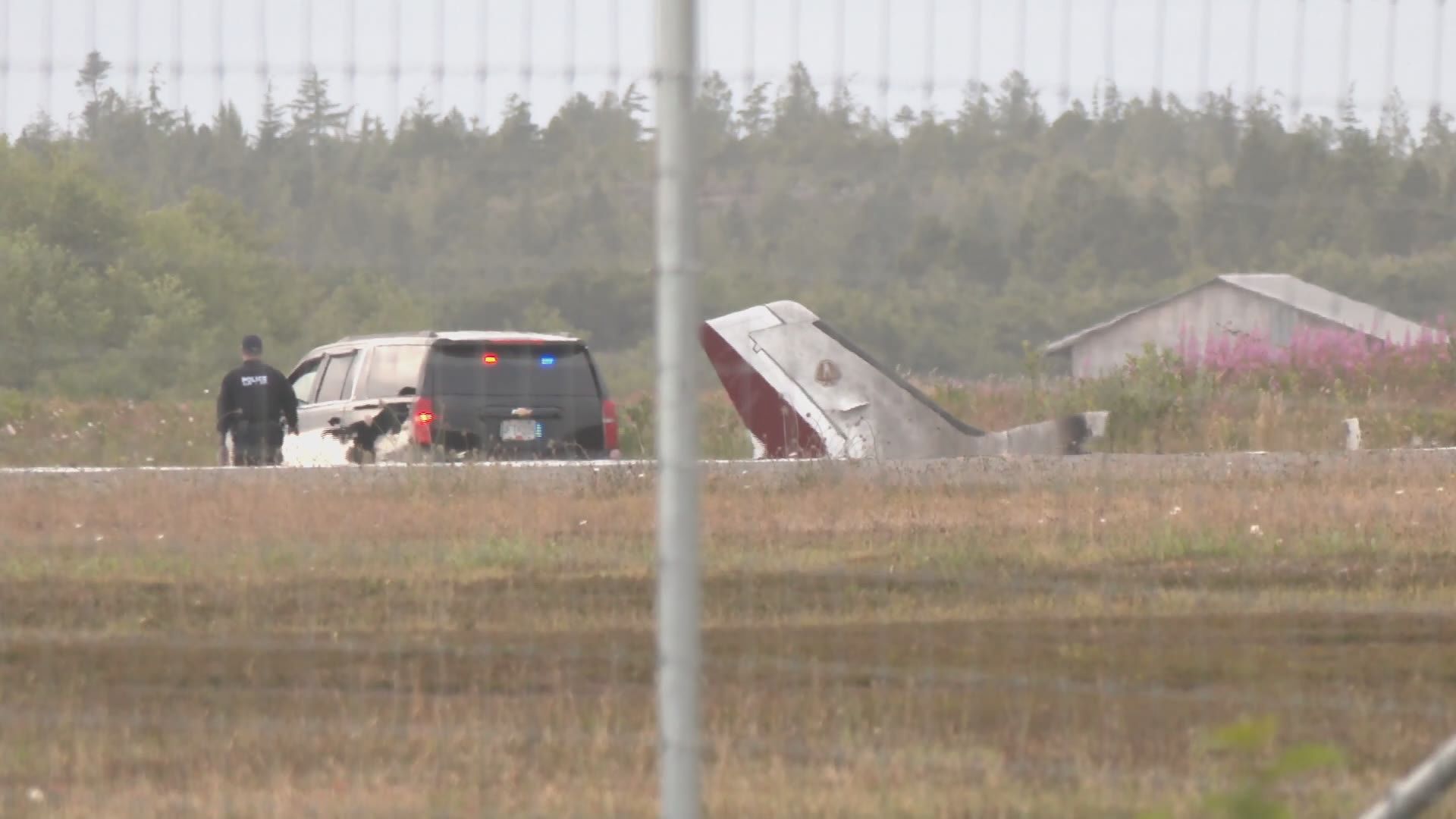 ‘Mayhem’: Witness describes response to fatal Tofino, B.C. plane crash