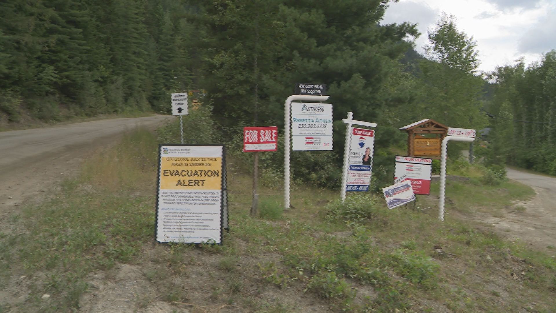 Напоследък имаше признаци за добри новини в борбата с горските