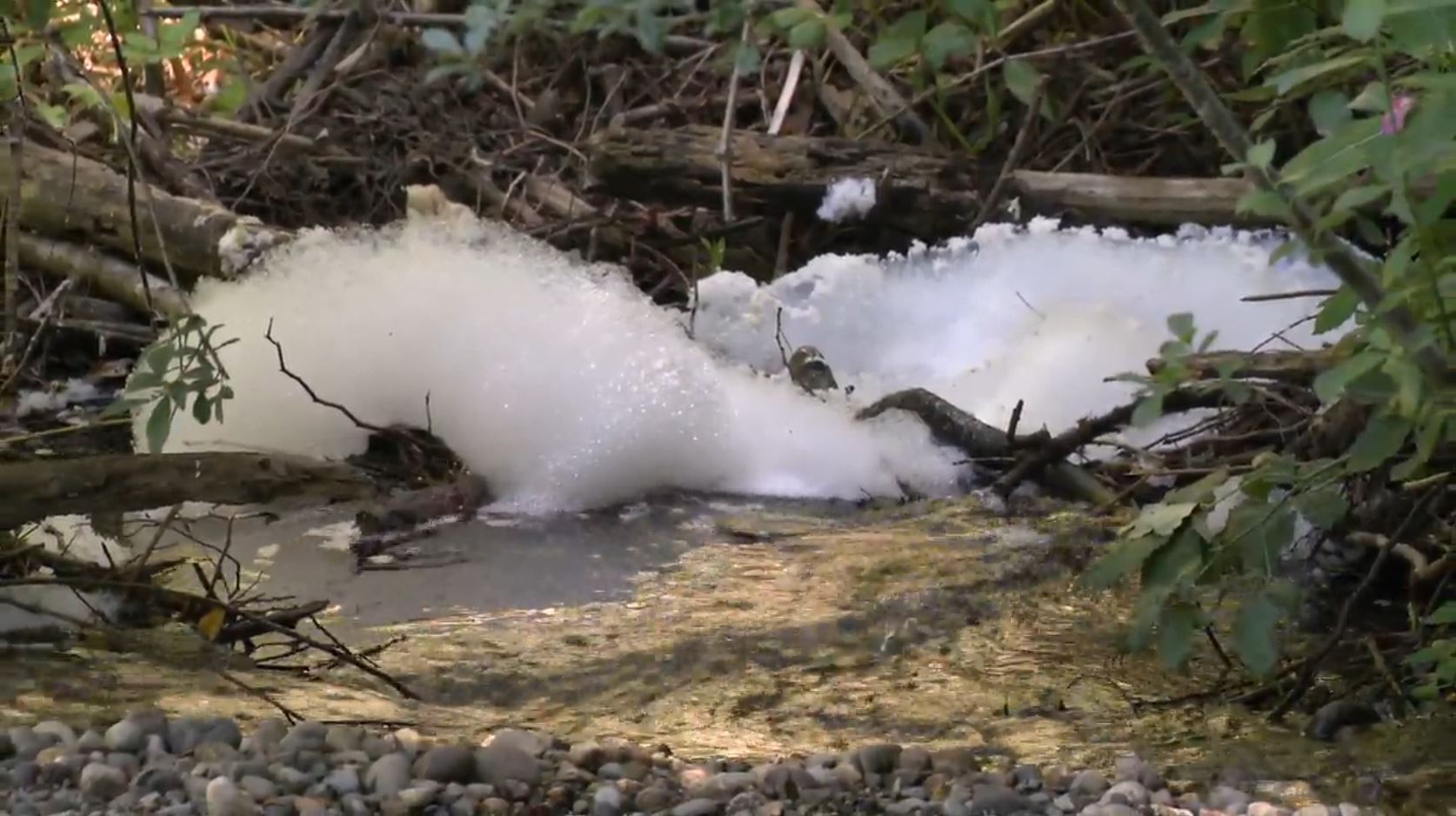 Случайно изпускане на противопожарна пяна е засегнало близката река която