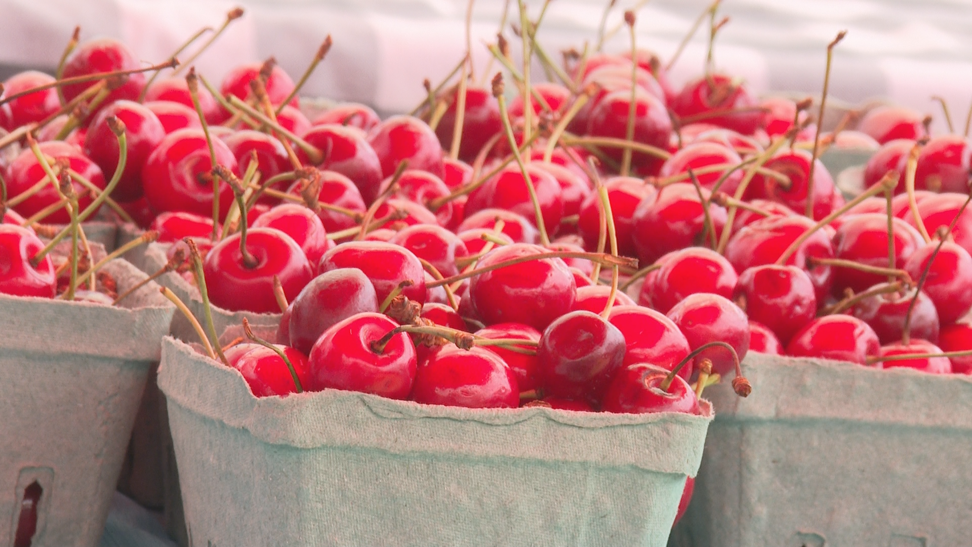 The new Nova Scotia Loyal program incentivizes shoppers to buy local products from big retailers, like Sobey’s. But some feel this program is a missed opportunity to benefit small businesses.