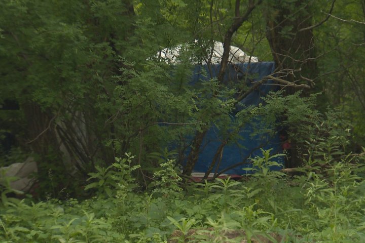 Winnipeg residents voice concerns over safety due to homeless encampments