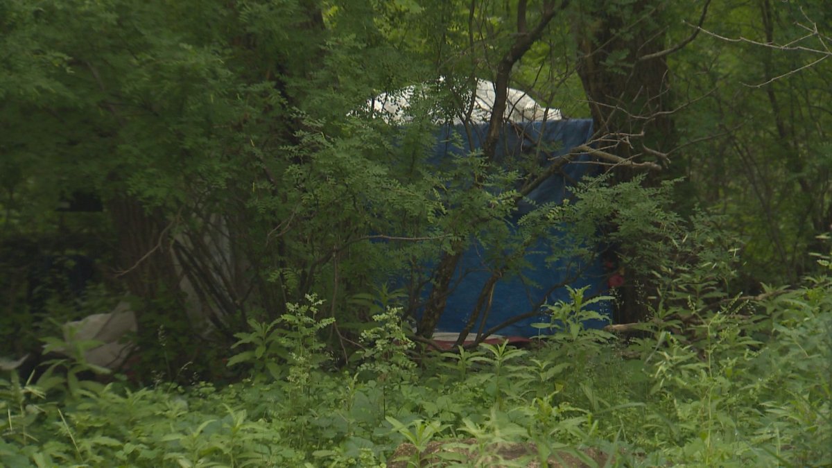 An encampment in a wooded area along D'Arcy Drive in University Heights. 