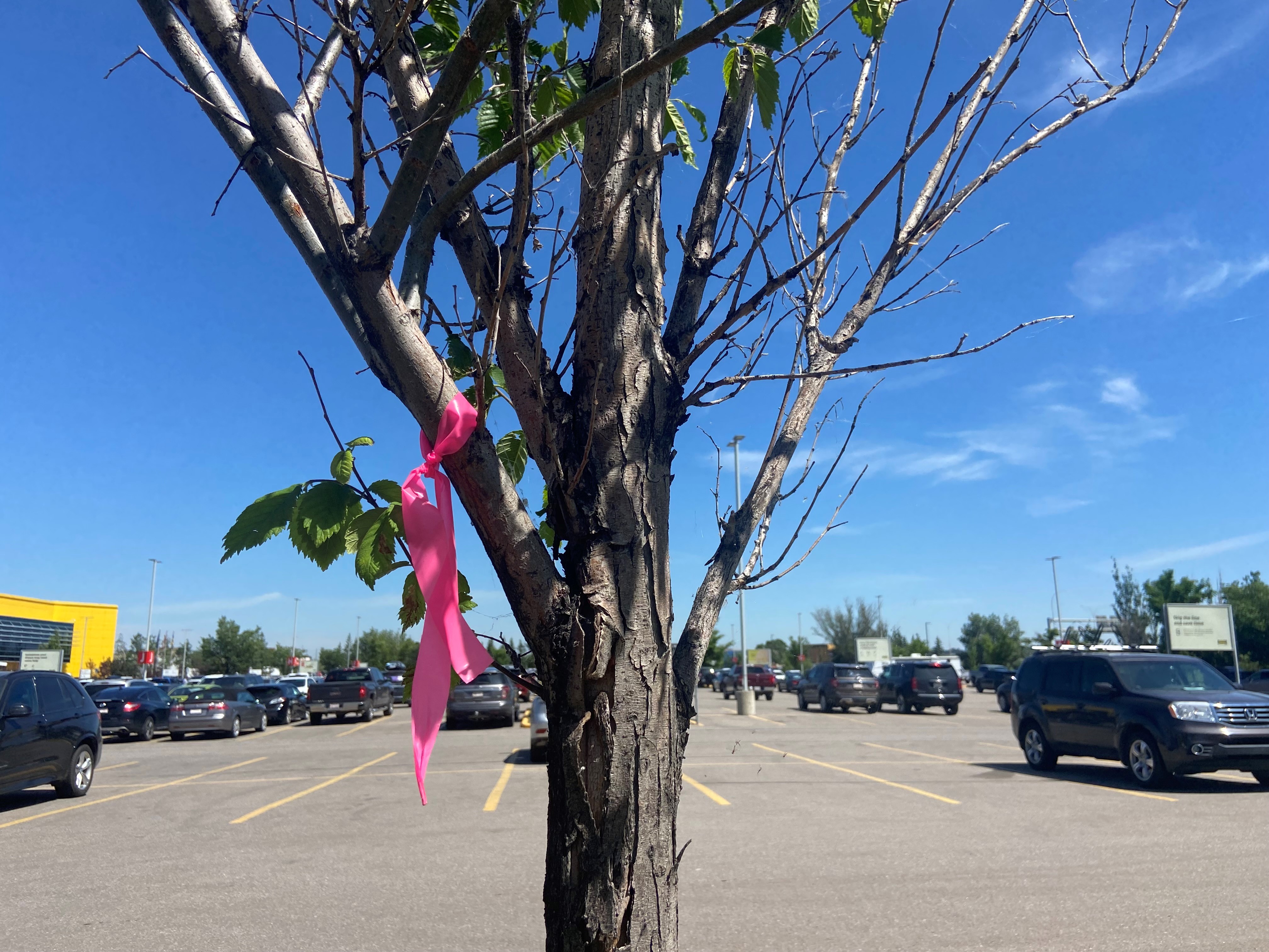 Calgary irrigation company feels the pinch of outdoor water restrictions