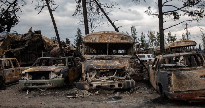 Jasper officials to provide closer look at wildfire damage