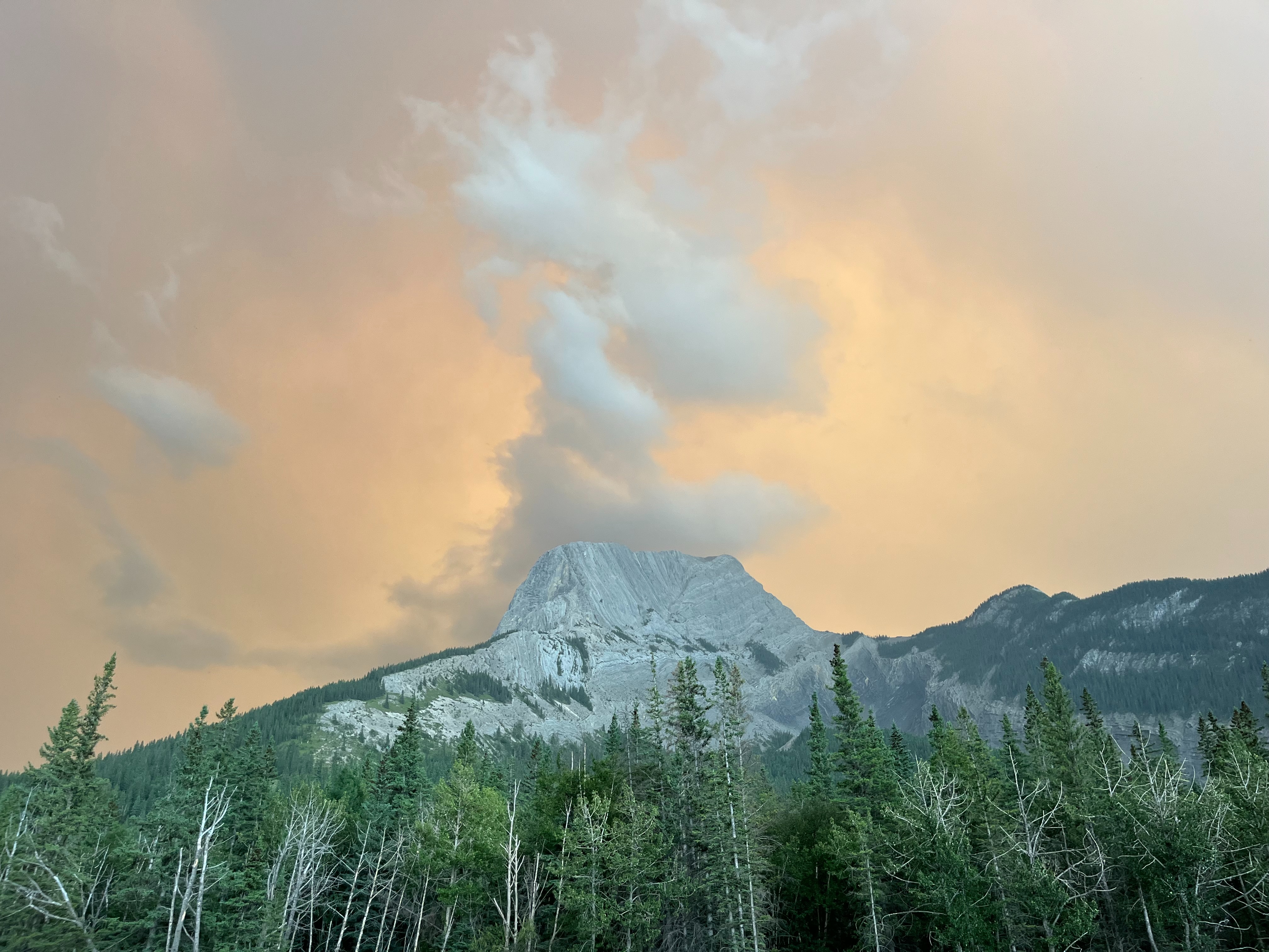 One Saskatchewan family’s journey out of a burning Jasper