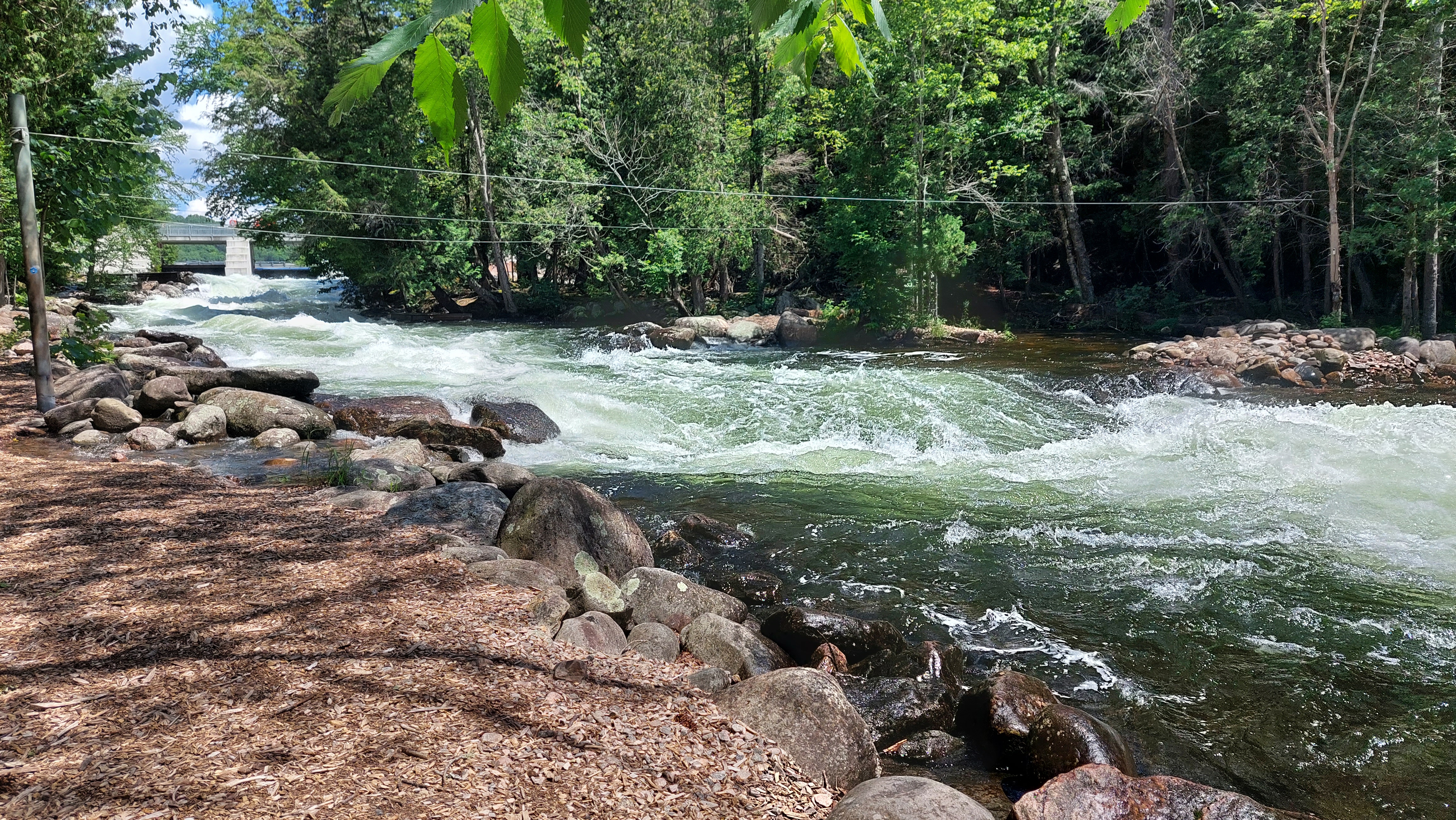 Off-duty firefighter helps rescue woman after fall into river in Minden, Ont.: police