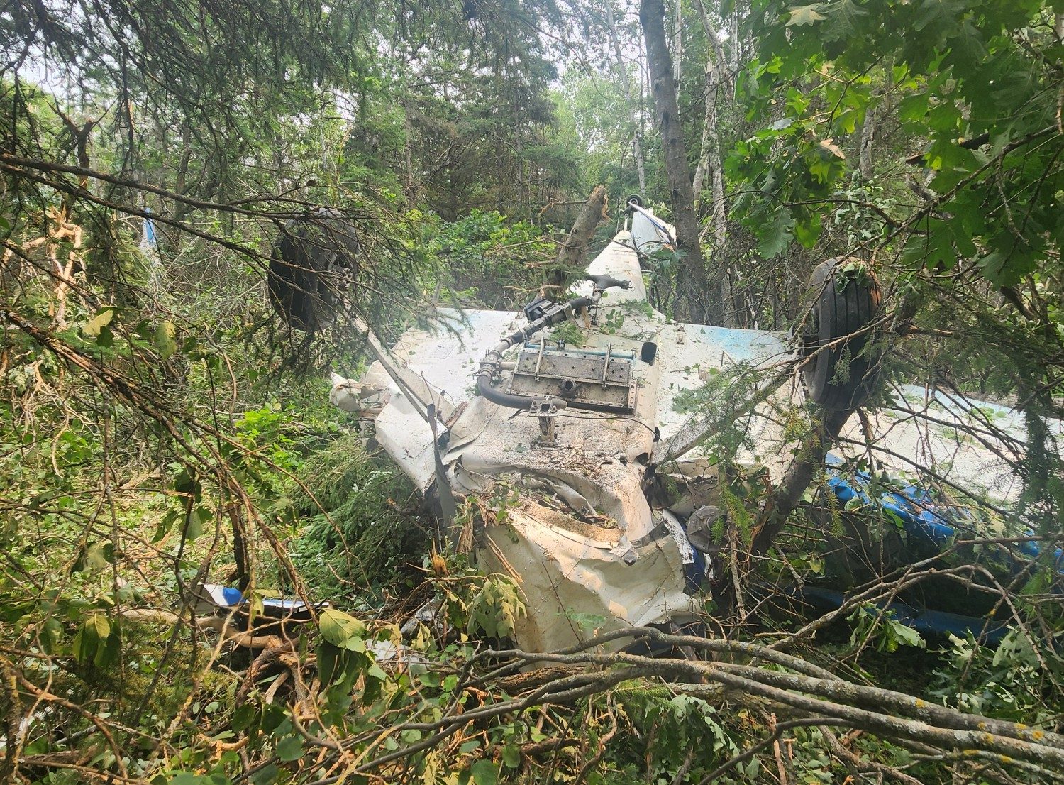 Pilot suffers minor injuries in crop-dusting plane crash near Arborg, Man.