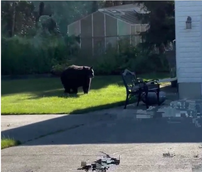 Службата по опазване на Британска Колумбия казва, че наблюдава доклади