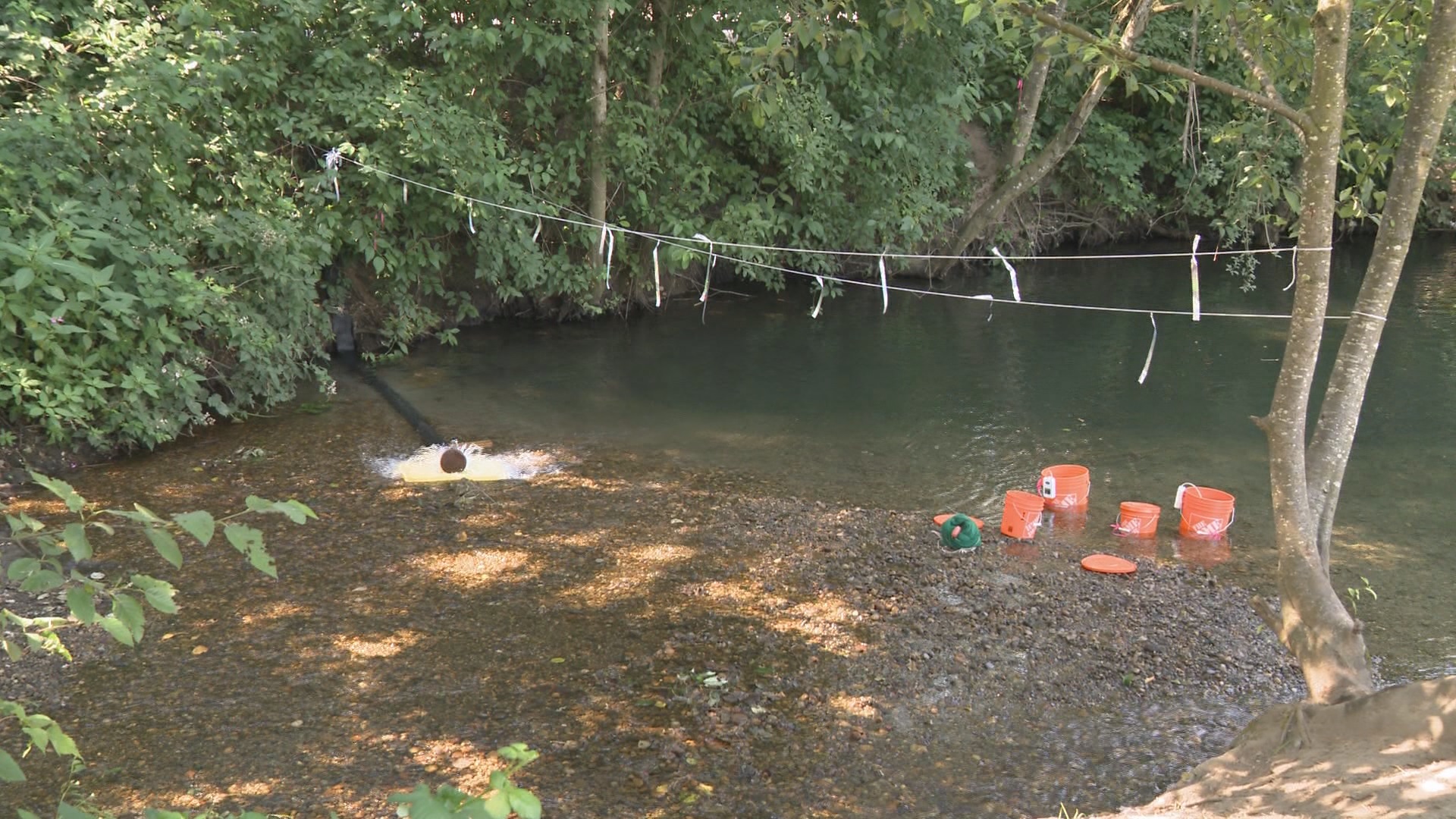 Подлагат се усилия за почистване в Stoney Creek в Bateman