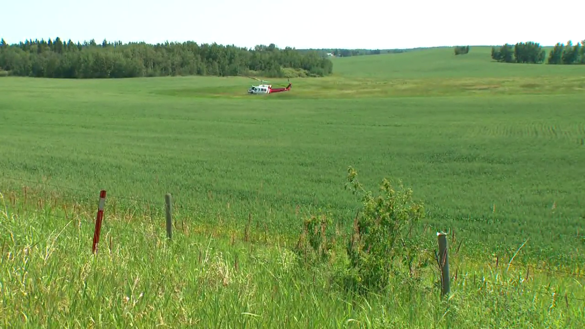 A Bell 212 helicopter landed safely after colliding midair with a Cessna 172 northwest of Edmonton Tuesday, July 9, 2024.