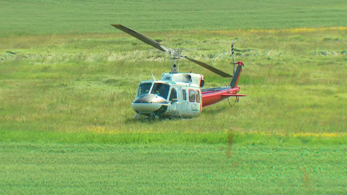 A Bell 212 helicopter landed safely after colliding midair with a Cessna 172 northwest of Edmonton Tuesday, July 9, 2024.