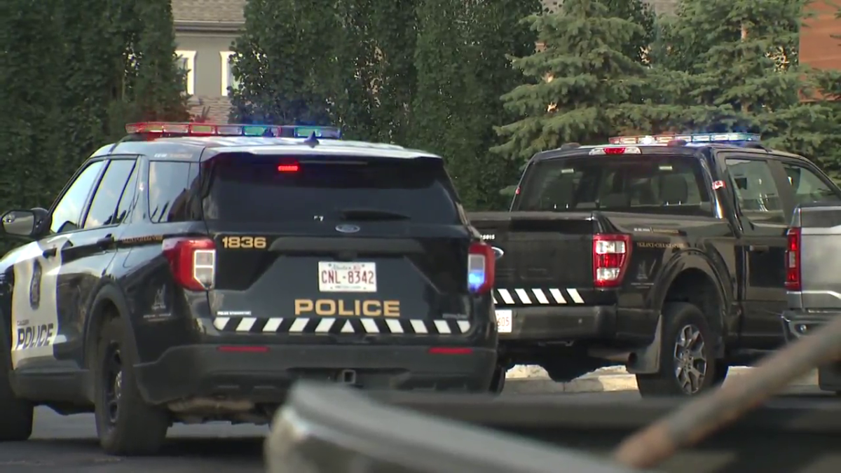 Calgary police said one woman was taken to hospital Friday after she was stabbed multiple times during a domestic dispute.