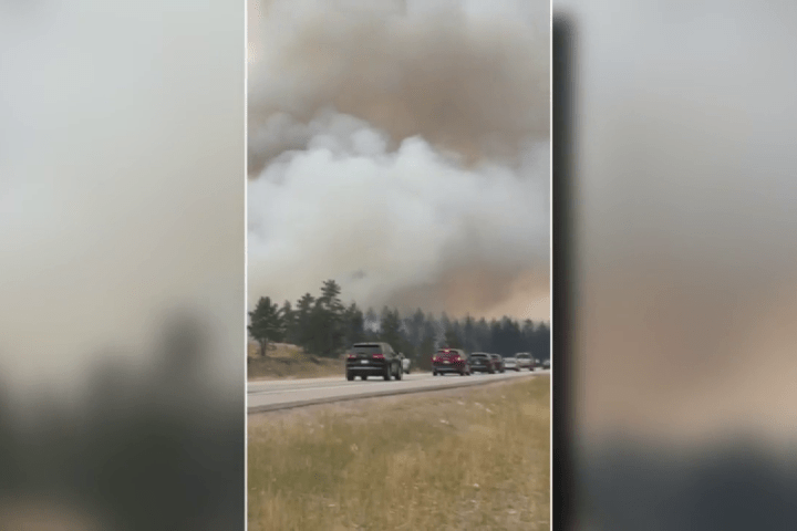 Viewer video: Wildfire evacuees flee Jasper National Park