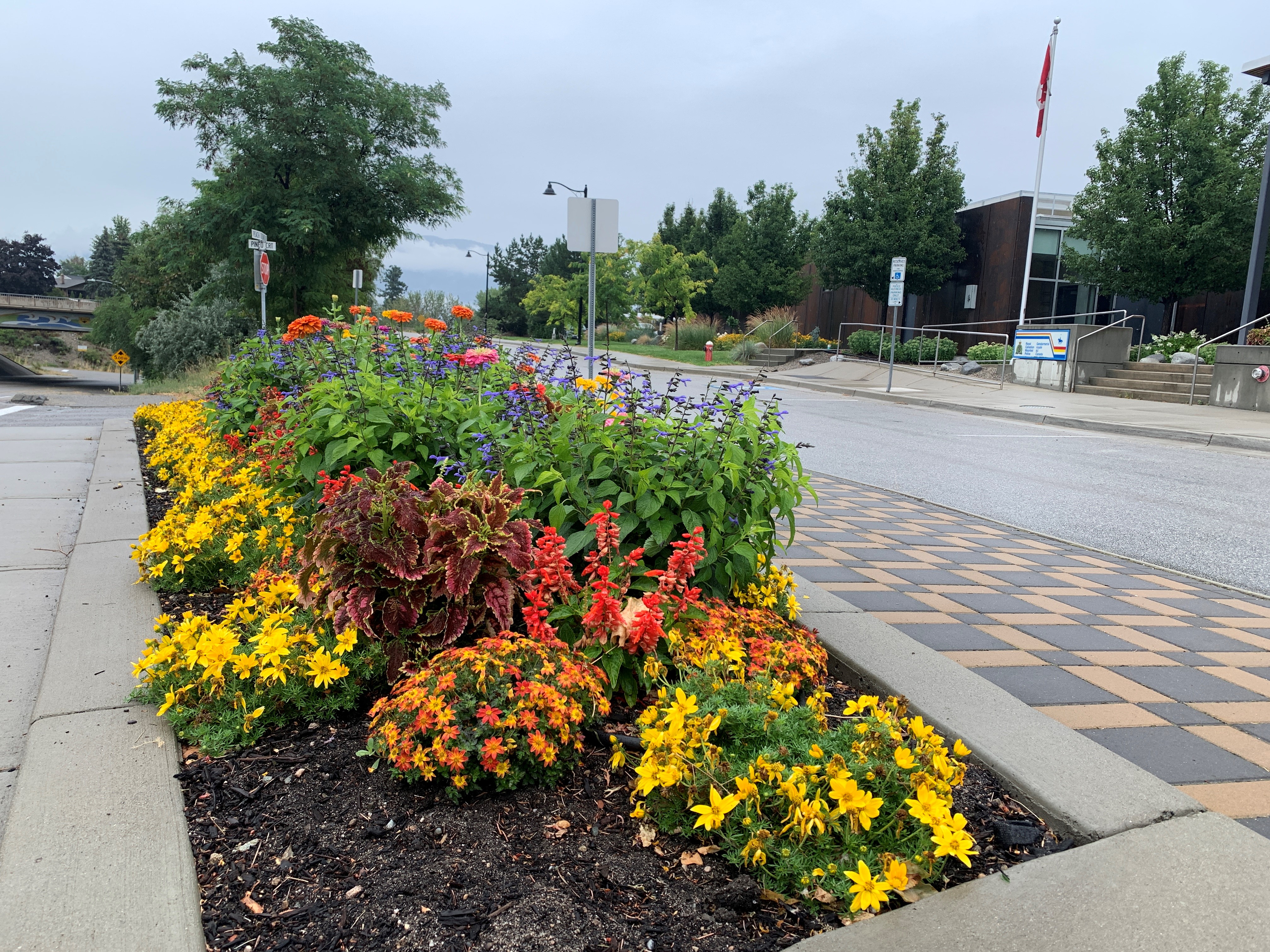 Десетки растения изчезват от общинските градински лехи в Summerland Британска