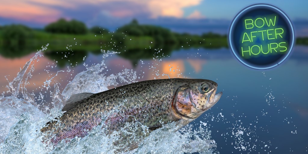 Bow After Hours – Gettin’ Fishy With It - image