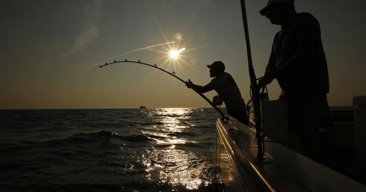 Екологична група казва че комерсиалната флота за риба меч на