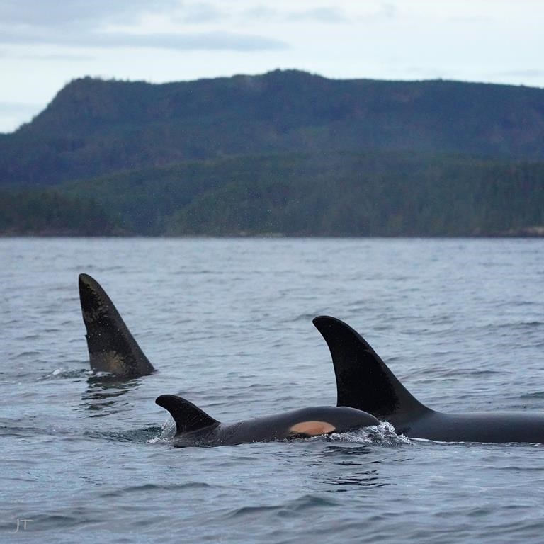 Базирана във Ванкувър филмова компания и нейният оператор на дрон