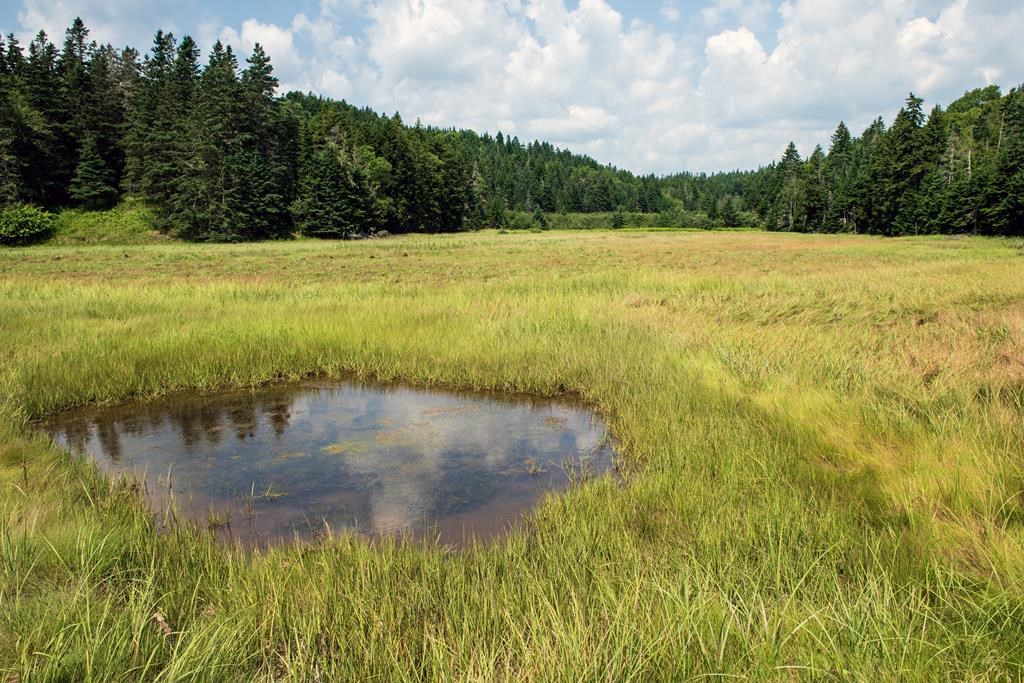 Гора с пощенска картичка на брега на залива Fundy в