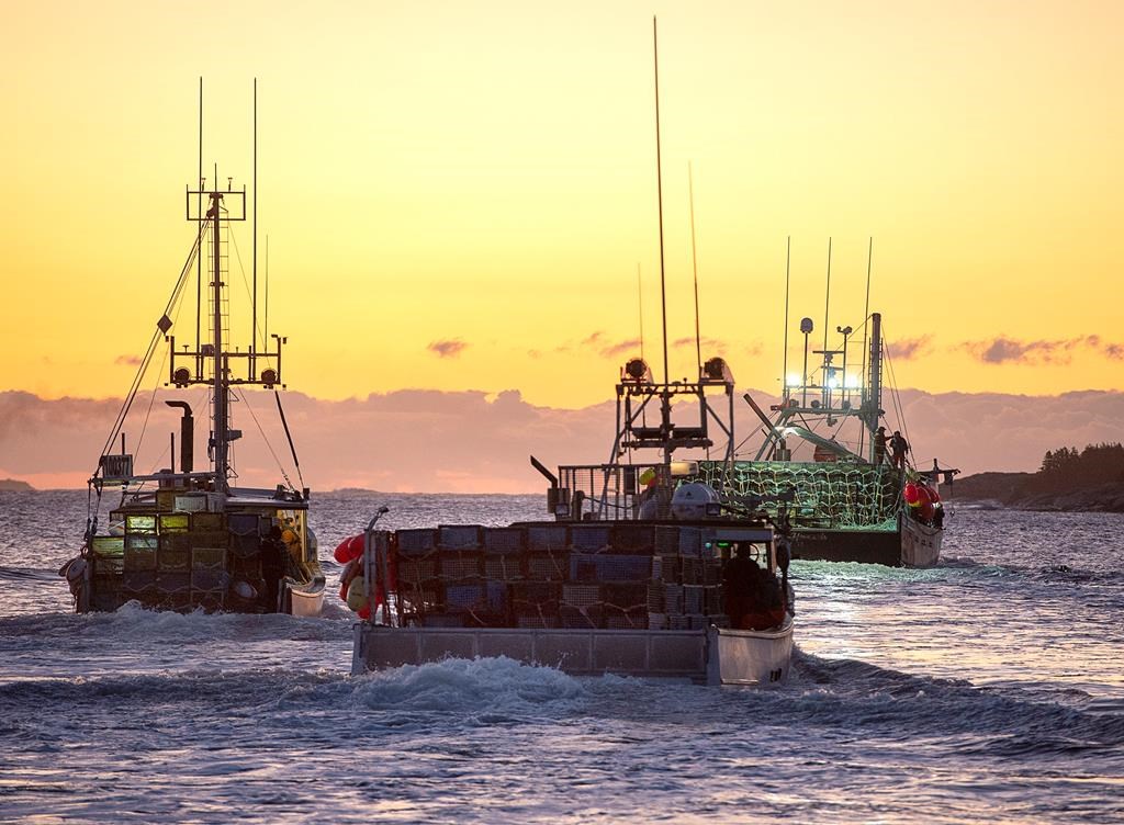 Fishing boats, loaded with traps, head from port as the lobster season on Nova Scotia's South Shore begins, in West Dover, N.S., on Nov. 26, 2019. THE CANADIAN PRESS/Andrew Vaughan.