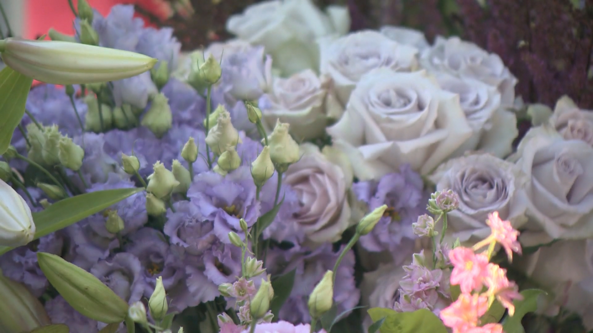 Преди три години семейство от Северен Ванкувър се сблъска с