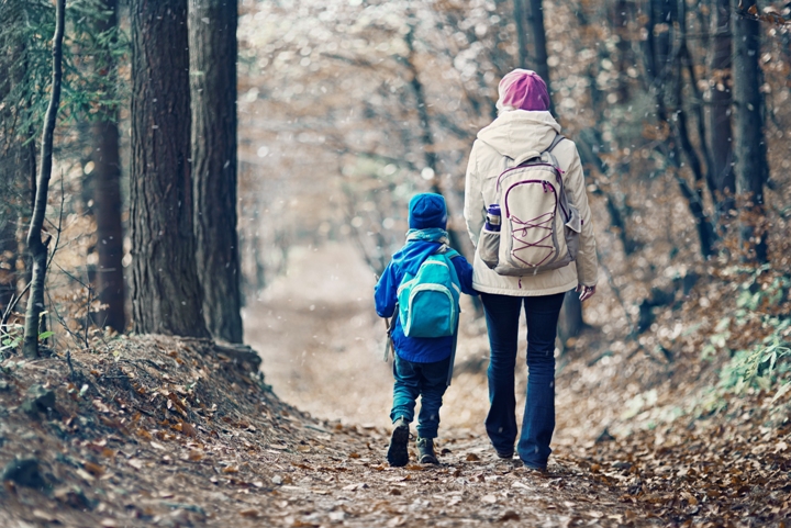 Family Day Hike & Campfire - image