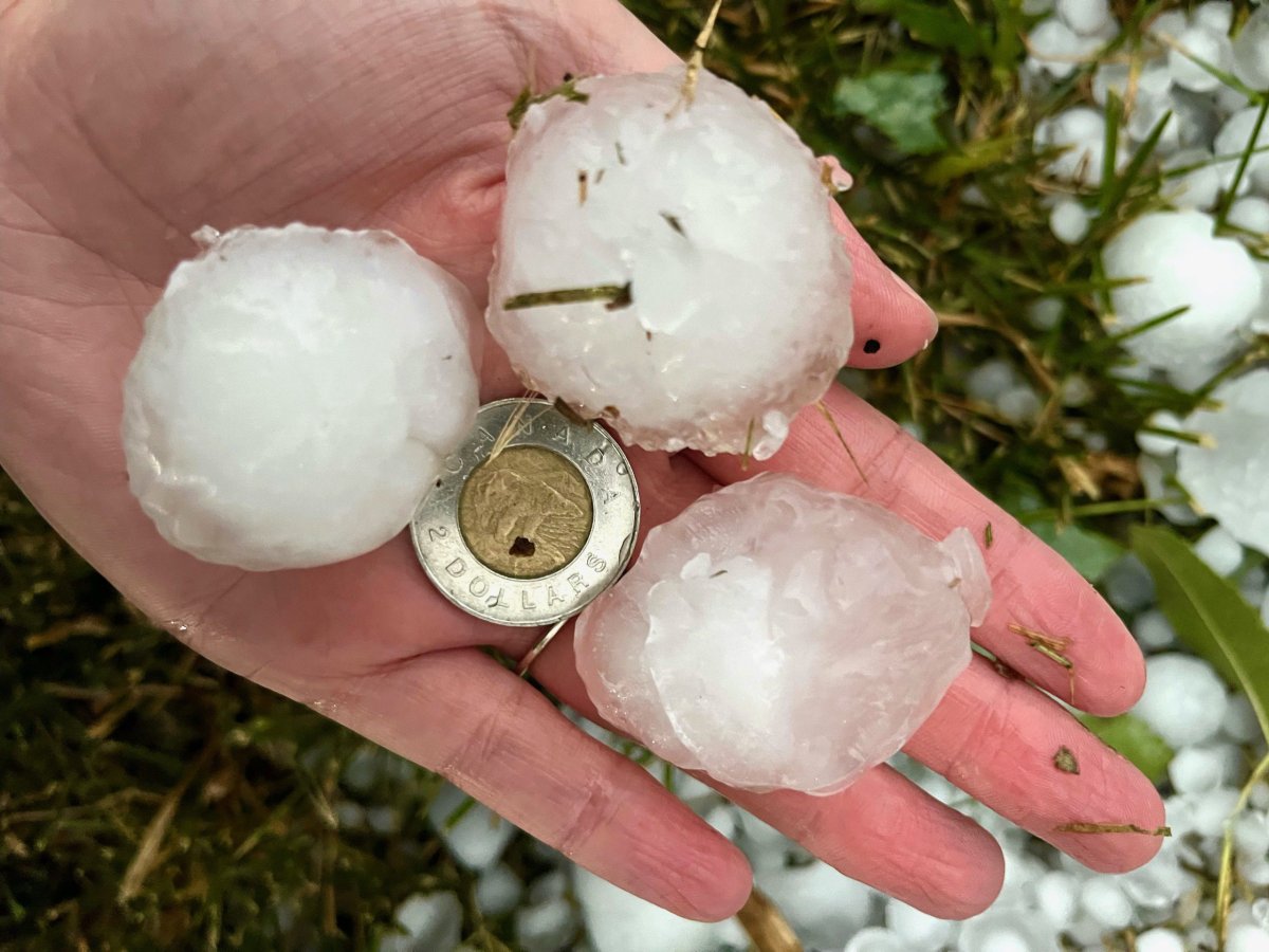 Hail from a storm is shown in Calgary in this Monday, August 5, 2024 handout photo.