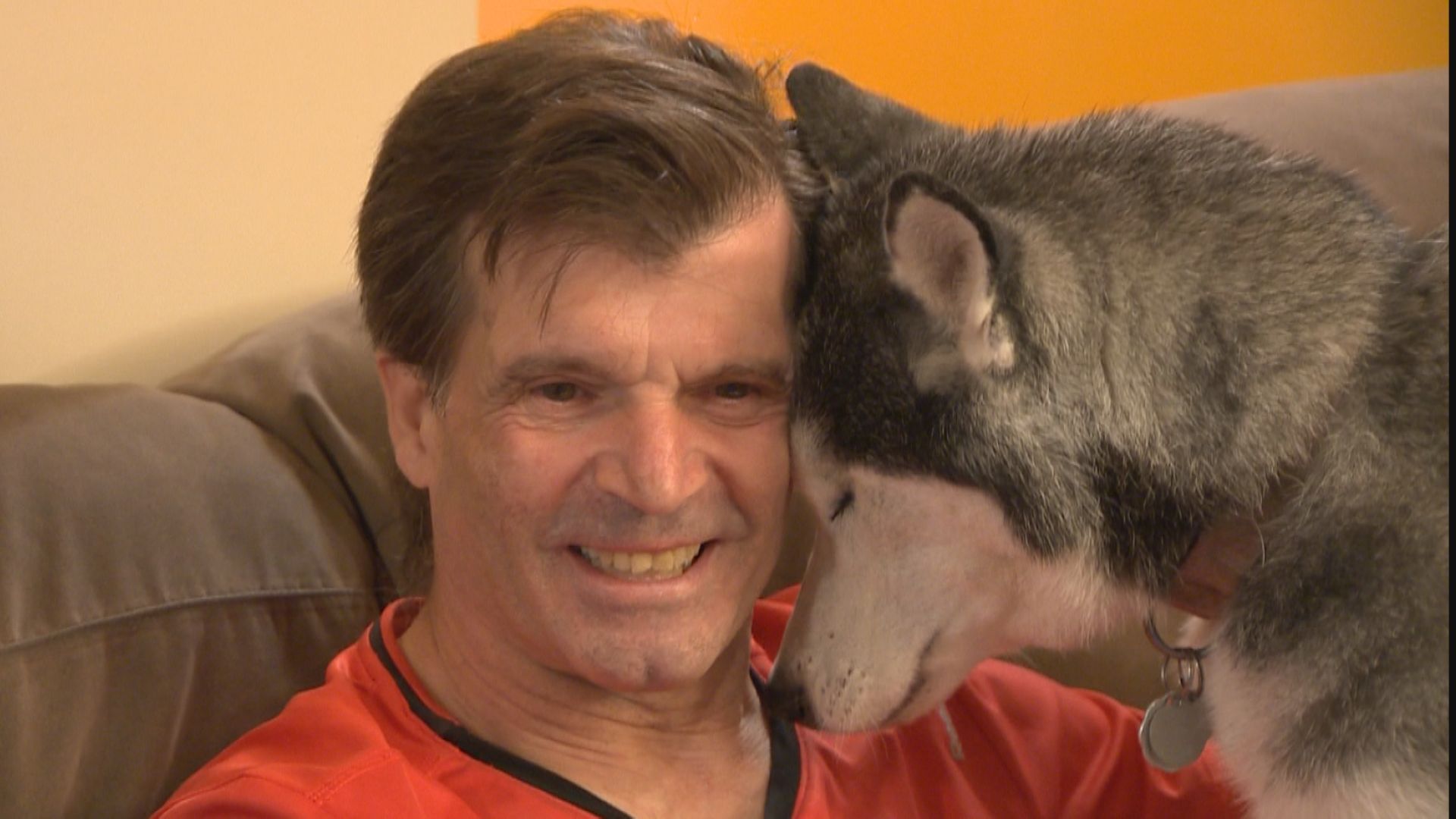 10 годишното сибирско хъски на Лучано Сарачино Скай е сляпо Тя