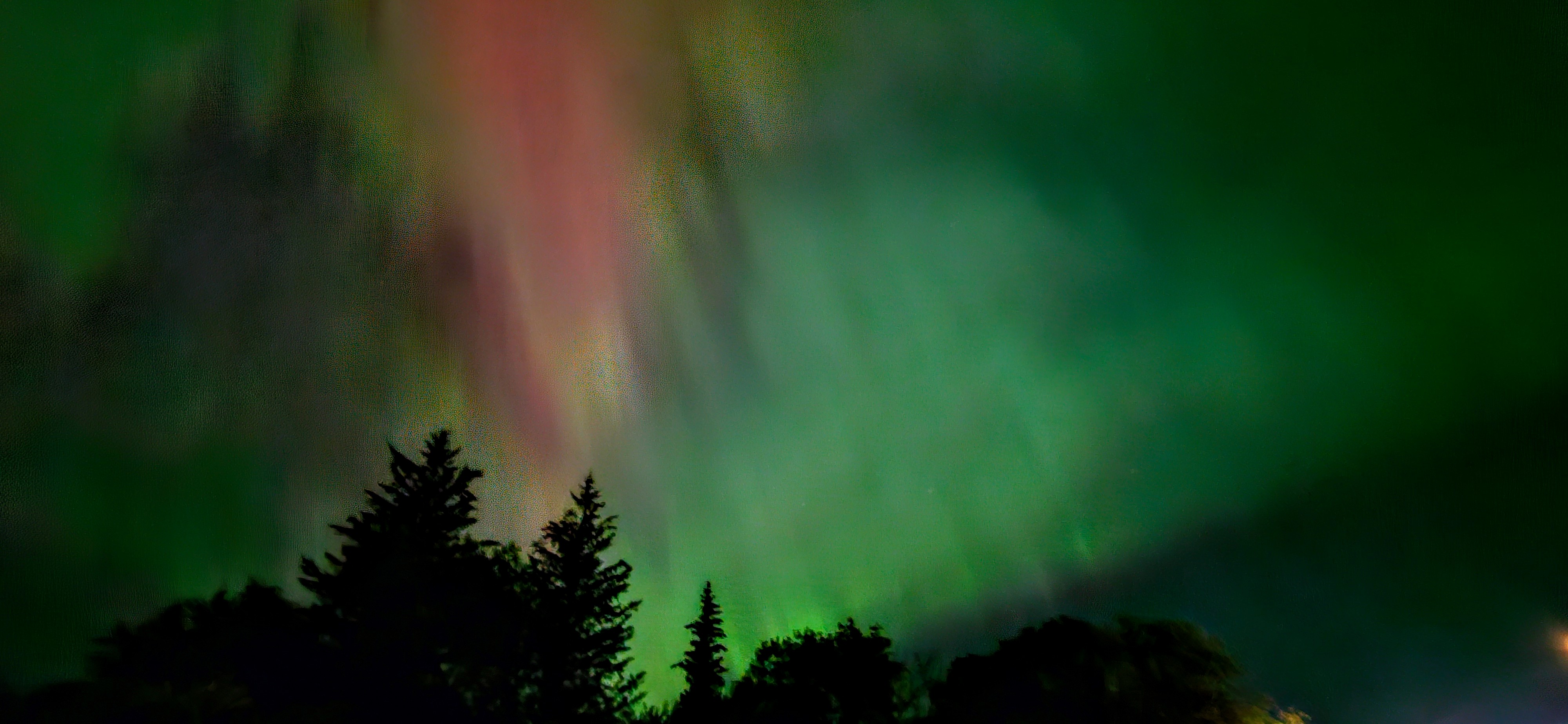 In photos: northern lights light up Saskatchewan skies