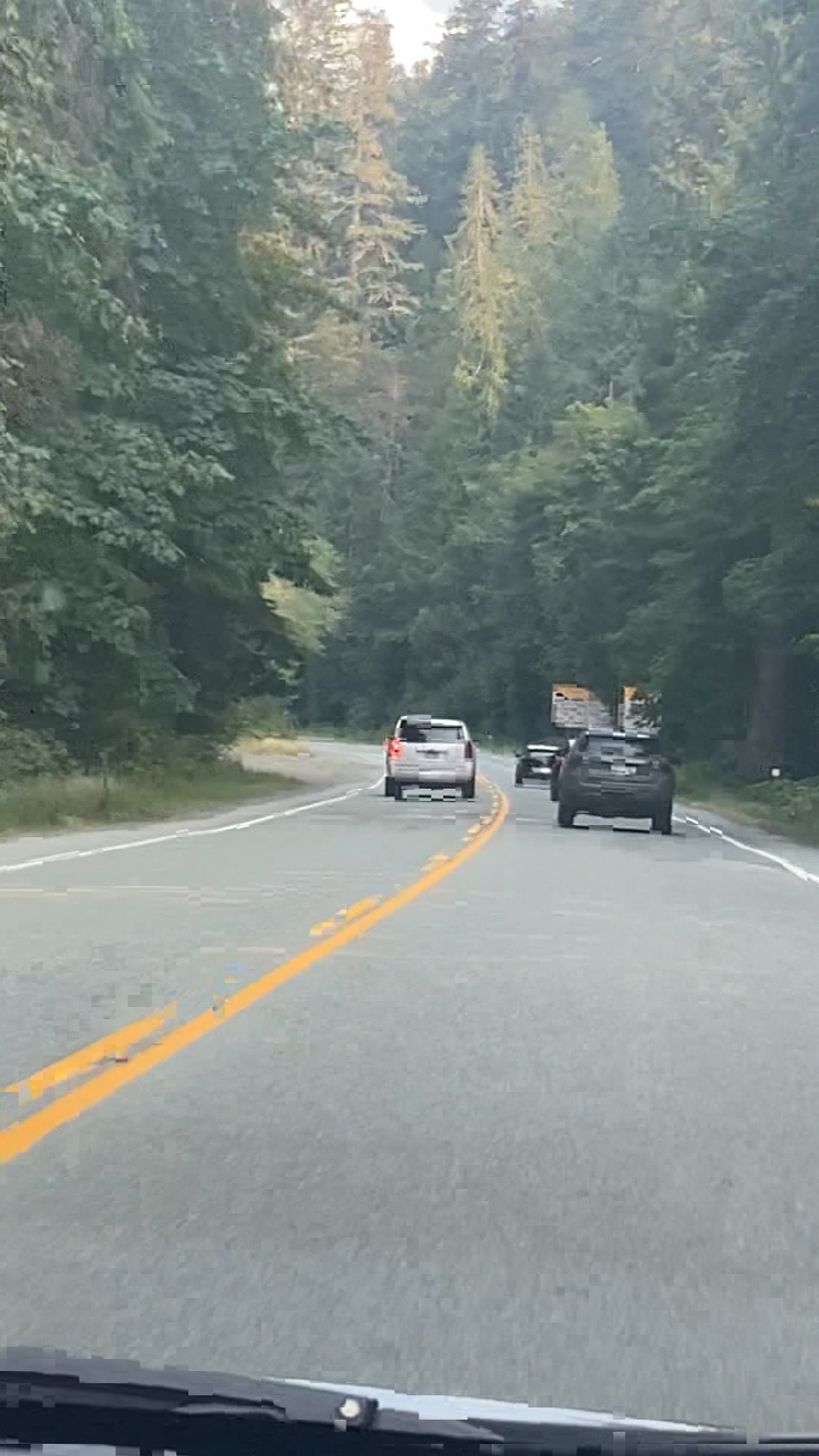 Видео споделено с Global News показва разговор на шофьор много