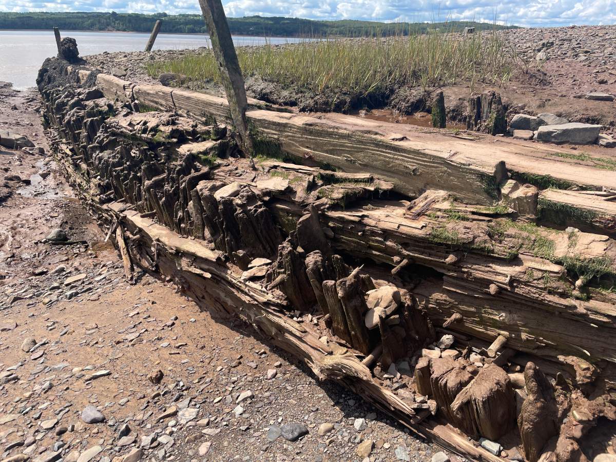 Old wooden beams form the shape of a hull lying on a beach with water in the distance