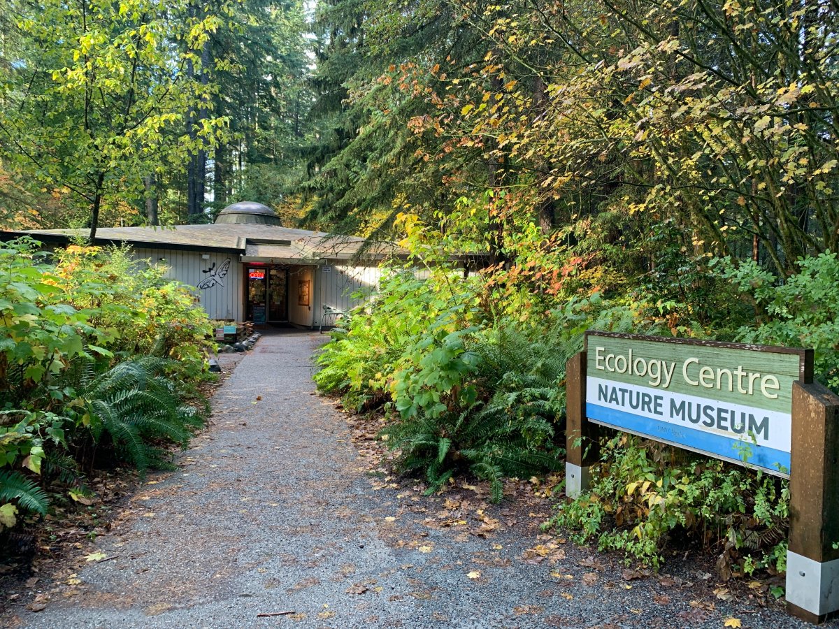 Edible Plants Walk in Lynn Canyon Park - image