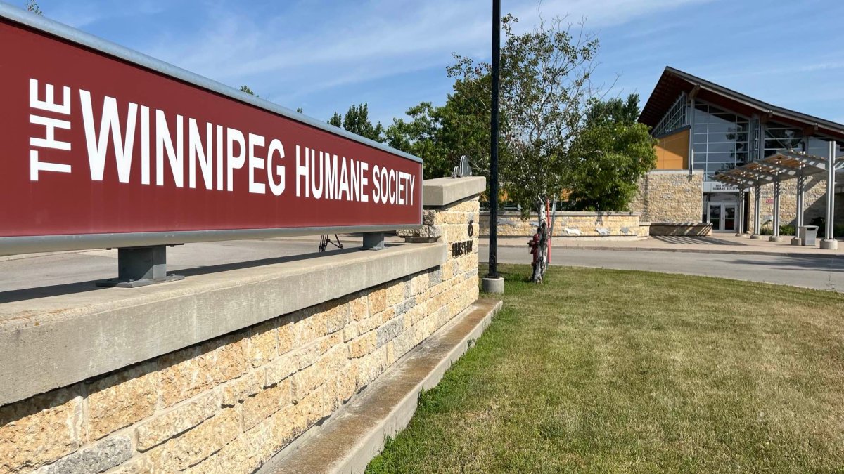 The Winnipeg Humane Society and the province's Office of the Provincial Veterinarian-Animal Welfare are working together after more than 130 dogs were seized from a Manitoba home.
