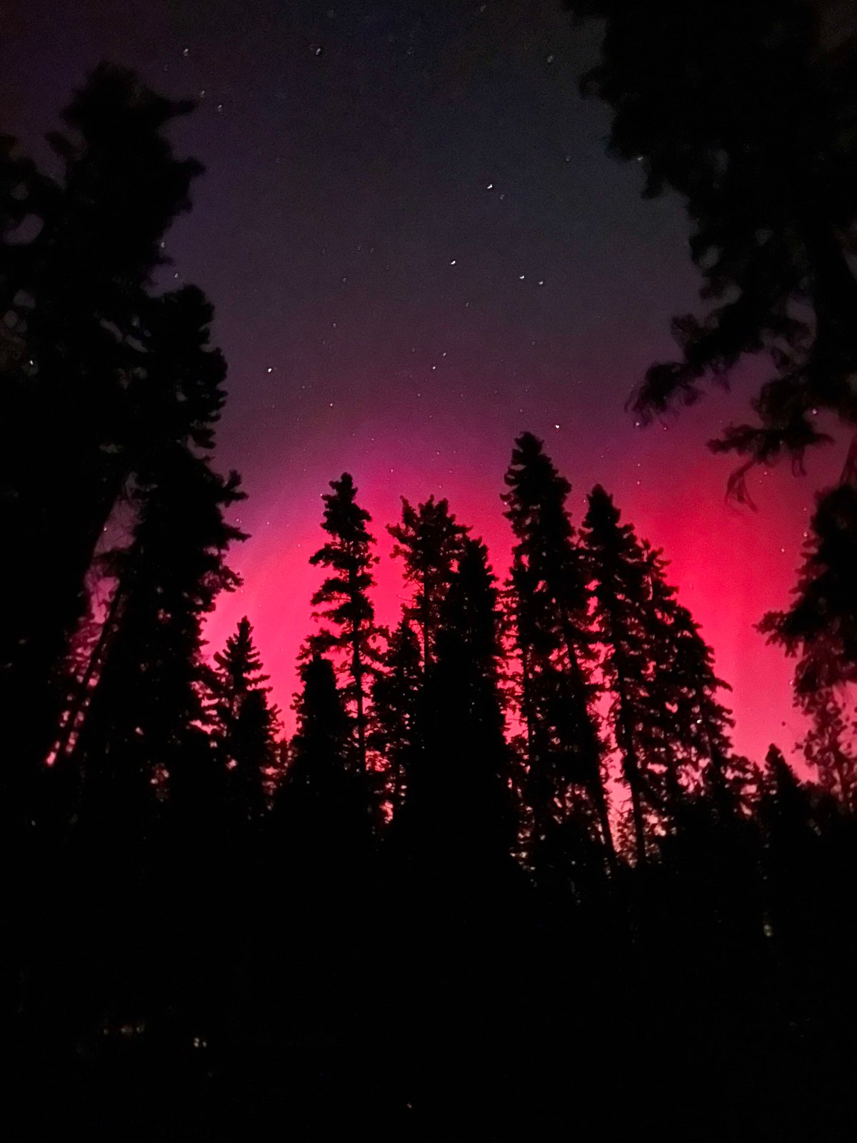 The northern lights in Waskesiu