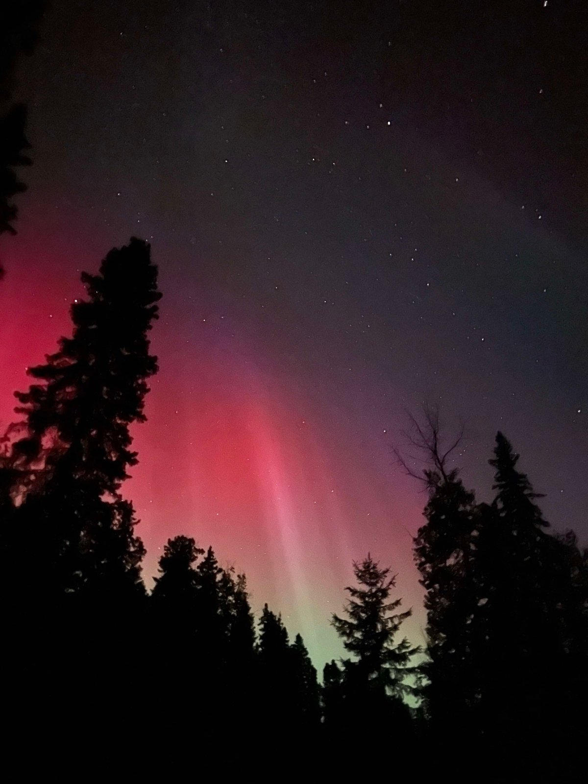 The northern lights in Waskesiu