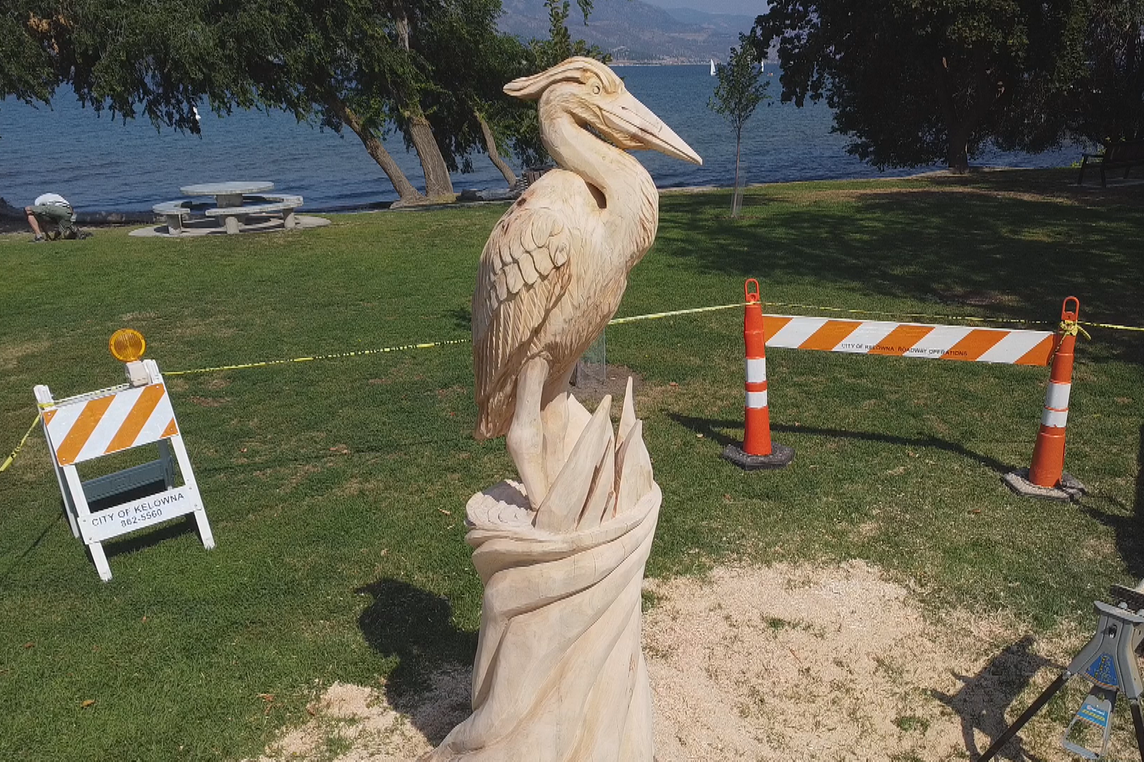 Chainsaw carver transforming Kelowna tree trunk into art