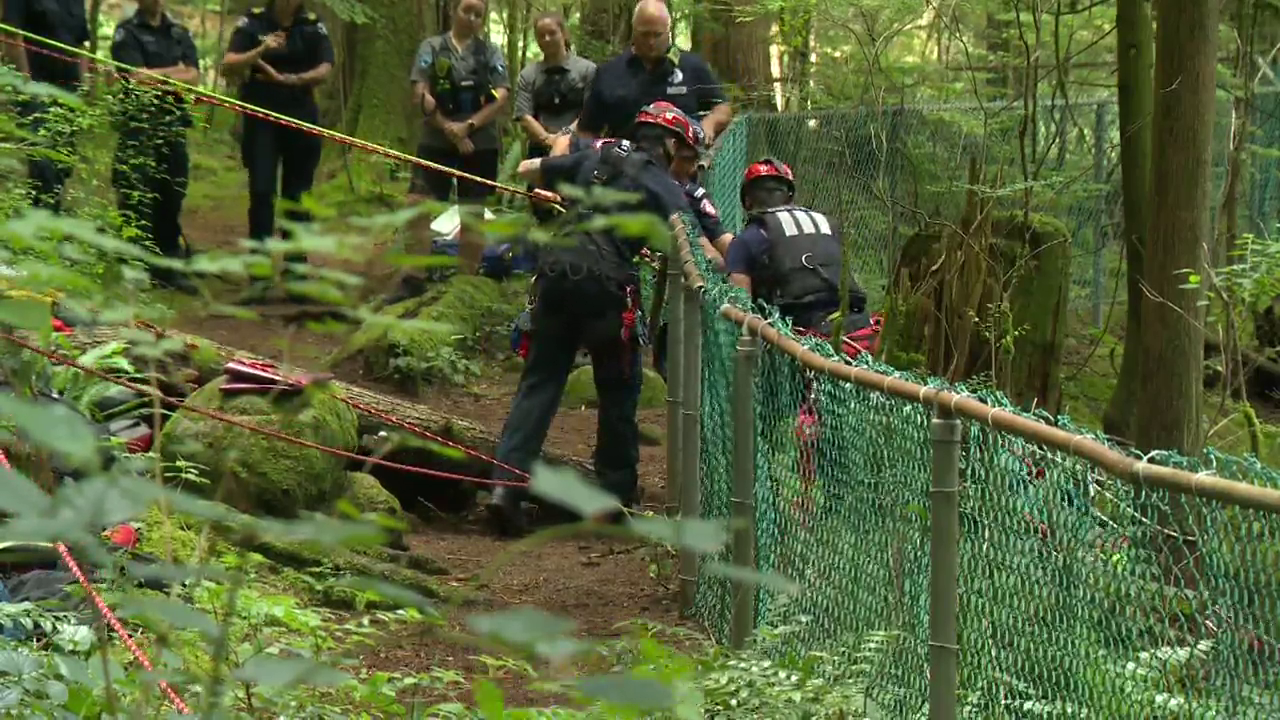 17-year-old falls to his death at Lynn Canyon Park in North Vancouver