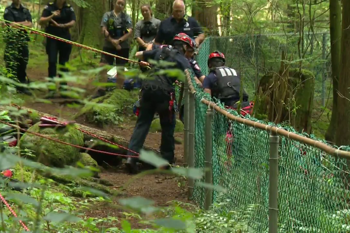 17-year-old falls to his death at Lynn Canyon Park in North Vancouver