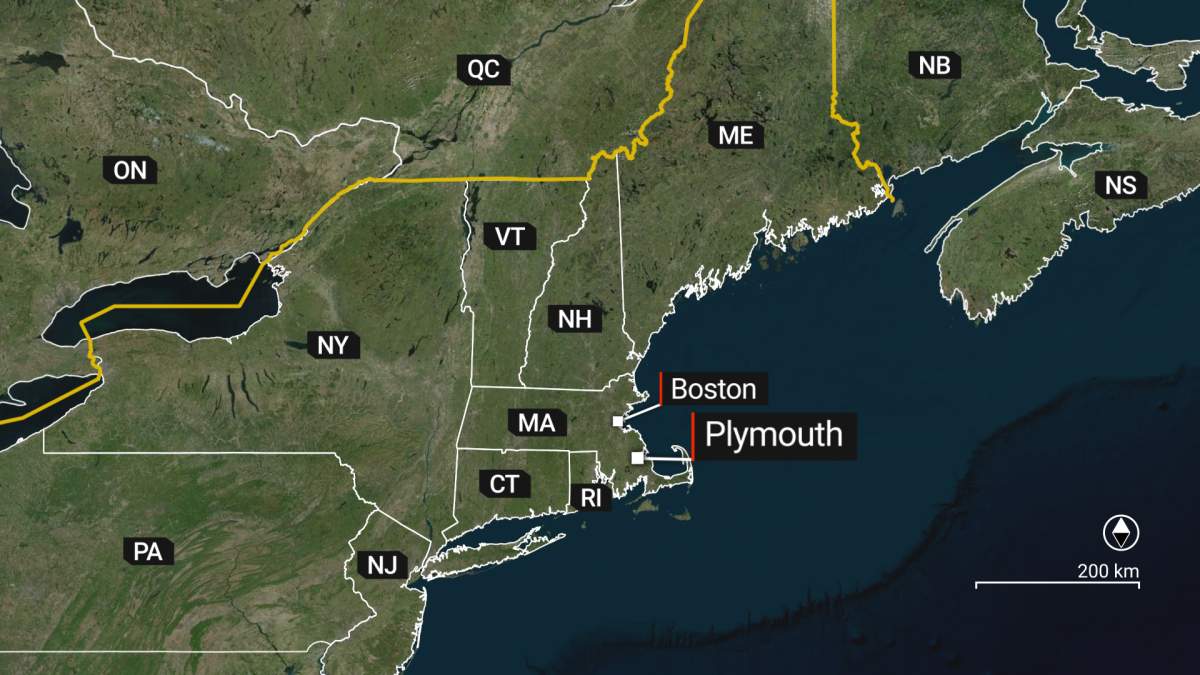 Dangerous mosquito virus spurs dusk-to-dawn park closures in U.S. town - image