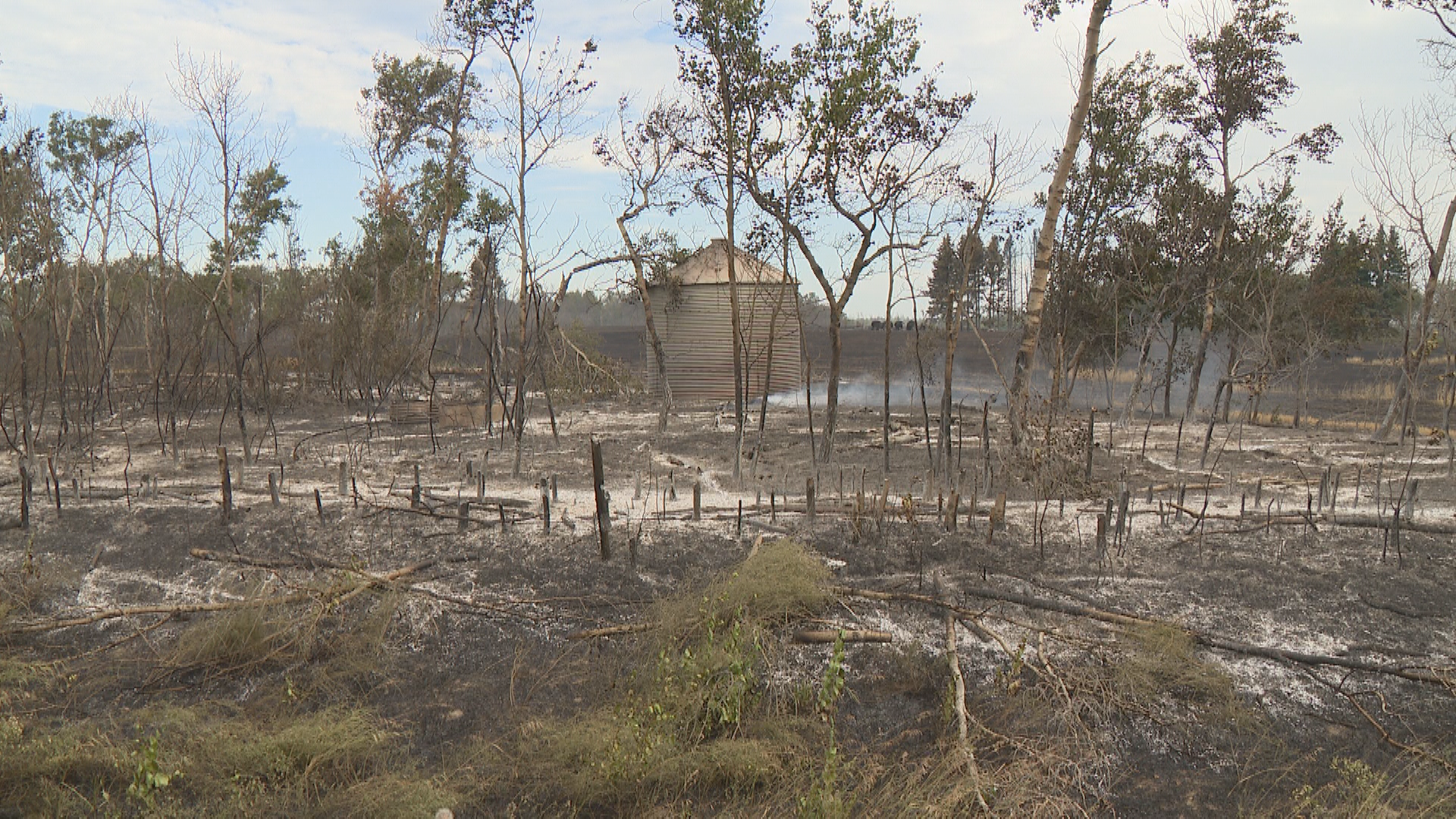 On Tuesday evening around 3:37 PM a grass fire started just south of saskatoon and caused upwards of three million dollars in damage.