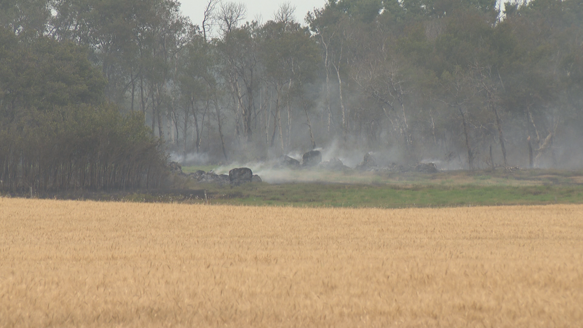 The fire spread quickly to both the north and the south which at its peak reached nearly a hectare in size, said Saskatoon Fire.