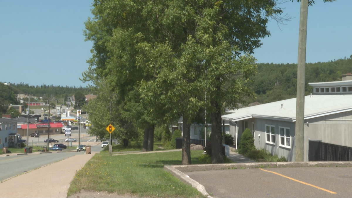 Five multi-unit trailers will be set up to house 25 people on Somerset Street. 