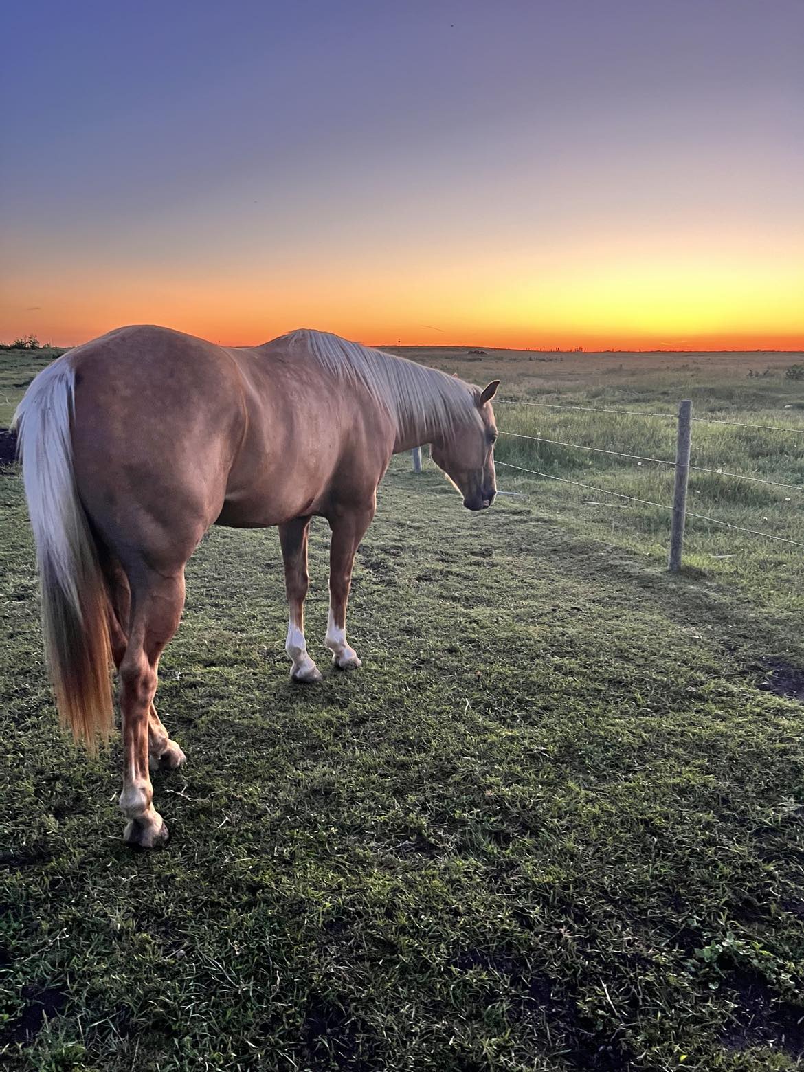 Your Saskatchewan photo of the day: August 2024